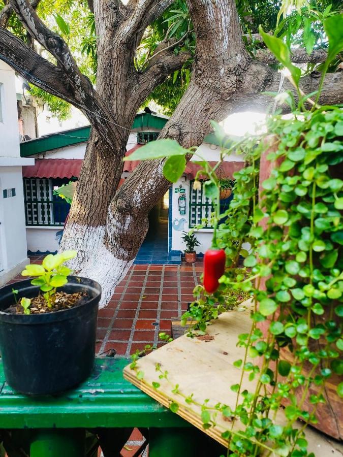 Tita'S Airport Hotel Cartagena 외부 사진